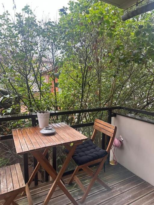 דירות טולוז Jardin Des Plantes Parking Securise Terrasse Et Ascenseur מראה חיצוני תמונה