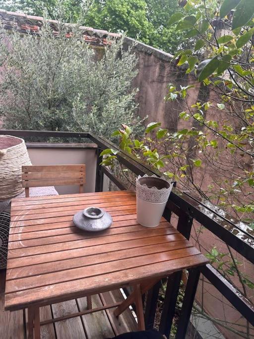 דירות טולוז Jardin Des Plantes Parking Securise Terrasse Et Ascenseur מראה חיצוני תמונה